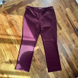 Purple/Burgundy Ankle Length Trousers